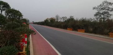 以道路建設(shè)為引擎，驅(qū)動(dòng)基礎(chǔ)設(shè)施、營商環(huán)境與環(huán)保協(xié)同提升的工程管理實(shí)踐