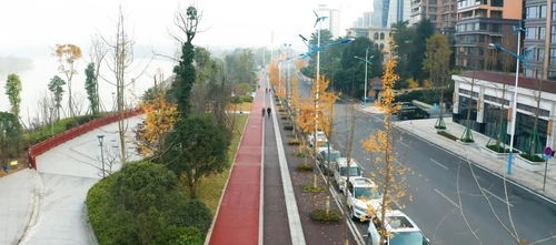 樂山高新區(qū)36條道路建設(shè)扎實(shí)推進(jìn) 工程管理全面升級(jí)