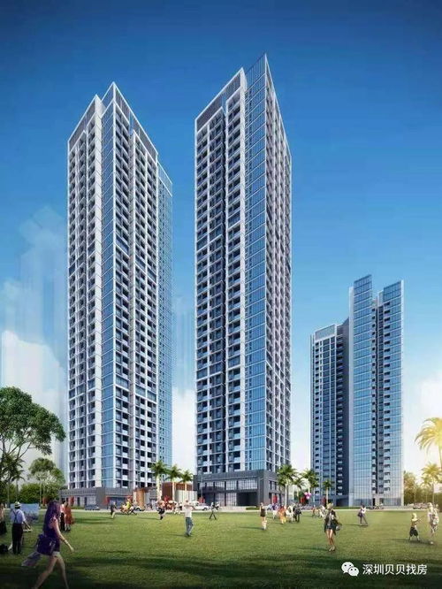 深圳非居住房地產(chǎn)租賃市場(chǎng)最新動(dòng)態(tài) 售樓處聯(lián)系方式與租賃詳情解析
